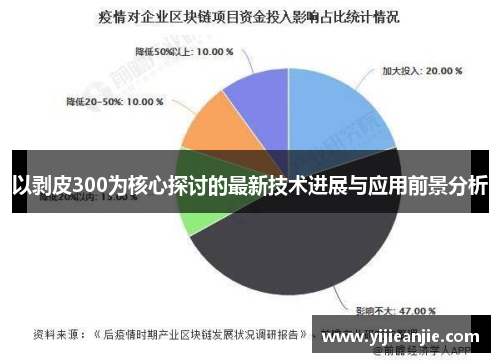 以剥皮300为核心探讨的最新技术进展与应用前景分析