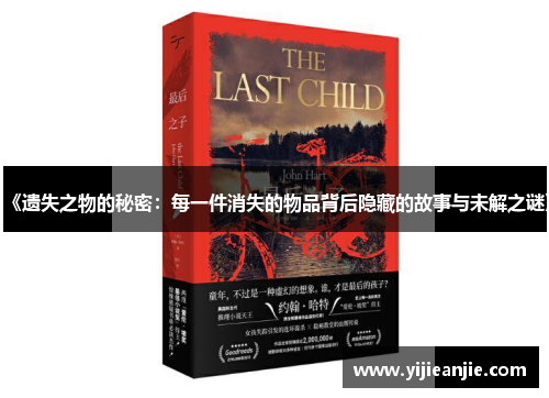 《遗失之物的秘密：每一件消失的物品背后隐藏的故事与未解之谜》